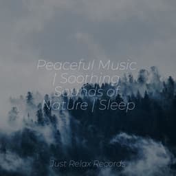 Peaceful Music | Soothing Sounds of Nature | Sleep - Pro Sound Effects Library