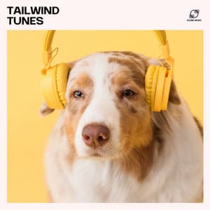 Tailwind Tunes - Dog Music Dreams