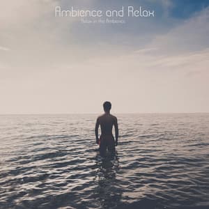 Ambience and Relax - Relax in the Ambience