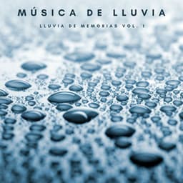 Música De Lluvia: Lluvia De Memorias Vol. 1 - Ruido de Meditación
