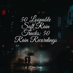 50 Loopable Soft Rain Tracks: 50 Rain Recordings - Rainforest