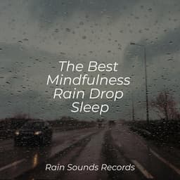The Best Mindfulness Rain Drop Sleep - Natural Sounds