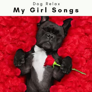 4 Dogs: My Girl Songs - Dog Relax