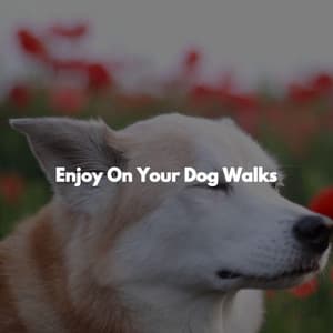 Enjoy On Your Dog Walks - Música para Concentrarse Lista De Reproduccion