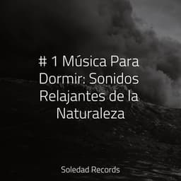 # 1 Música Para Dormir: Sonidos Relajantes de la Naturaleza - Musica para Dormir 101