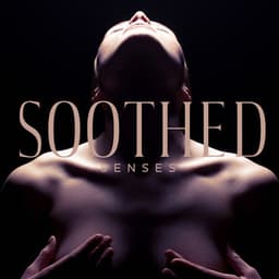 Soothed Senses - Well-Being, Stress Relief, Relaxing Massage, Visit to the Spa - Spa Relaxing New Age Project