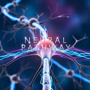 Neural Pathway Alignment - Maya Theravada