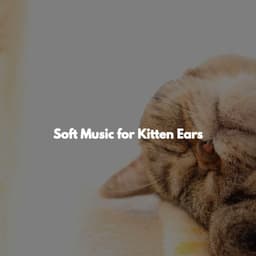 Soft Music for Kitten Ears - Morgen Jazz Ambiente