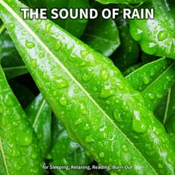 #1 The Sound of Rain for Sleeping, Relaxing, Reading, Burn-Out - Rain Recordings