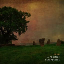 From a Positive Perspective: Celtic Positive Elixir, Zen Mode Meditation - Motivational Divine Meditation Zone
