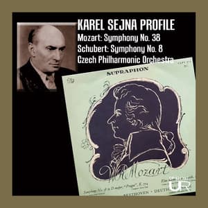 Šejna Profile, Vol. 3 - Karel Šejna