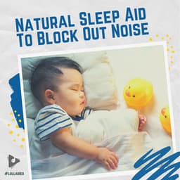 Natural Sleep Aid To Block Out Noise - #Lullabies