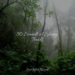 50 Sounds of Spring Tracks - Calming Sounds