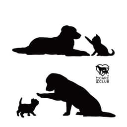 Therapy Dogs for PTSD - Pet Care Club