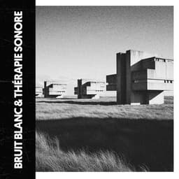 Bruit Blanc & Sonothérapie: Distraction Sonore - Ruido Blanco Hart