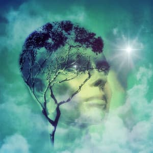 Awaken to Now Dissolve Thought, Become Awareness - Reiki Raj