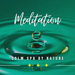 Riverside Rejuvenation: Calm Spa by Nature - Empty Space