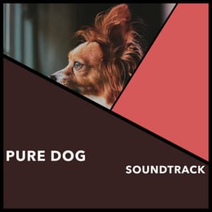 Pure Dog Soundtrack - Dogs Music Therapy