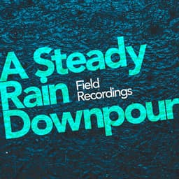 A Steady Rain Downpour - Field Recordings