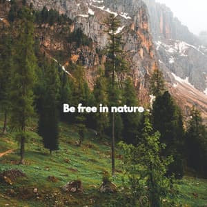 Be free in nature - Descansar Musica