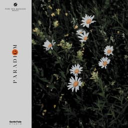 Paradigm - Pure Spa Massage Music