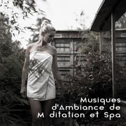 Musiques d'Ambiance de Méditation et Spa: Massage Aux Huiles Chaudes, Mieux-être Domestique - Bien-être Spa Musique Collection