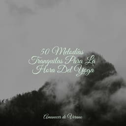 50 Melodías Tranquilas Para La Hora Del Yoga - Meditación Maestro