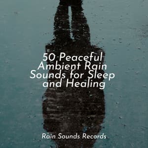 50 Peaceful Ambient Rain Sounds for Sleep and Healing - Sounds of Nature Relaxation