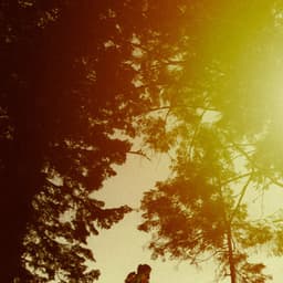 0 Hour Zen: Whispers Of The Woodlands - Baltic Nature Sounds