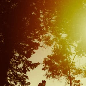 0 Hour Zen: Whispers Of The Woodlands - Baltic Nature Sounds