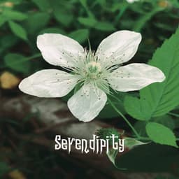 Serendipity - Relaxing Piano Music