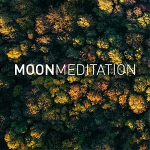 Fale medytacji - Moon Tunes