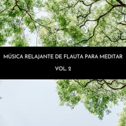 Música Relajante De Flauta Para Meditar Vol. 2 - Academia de Relaxamento Espiritual