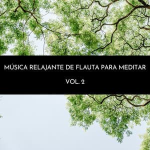 Música Relajante De Flauta Para Meditar Vol. 2 - Academia de Relaxamento Espiritual
