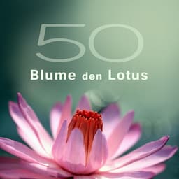 50 Blume den Lotus - Musik für Entspannung, Meditation, Yoga & Spa und Massage, Moment für Sie - Tiefenentspannung Academy