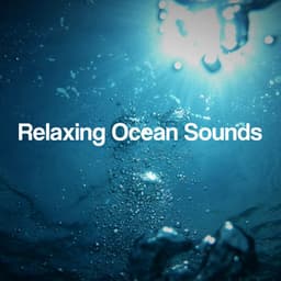 Relaxing Ocean Sounds - The Relaxing Sounds of Swedish Nature