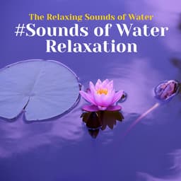 #Sounds of Water Relaxation - The Relaxing Sounds of Water
