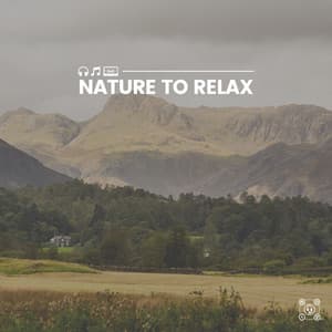 Nature to Relax - The Forest Escape
