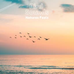 Bird Sounds Natures Feels - Natural Sample Makers
