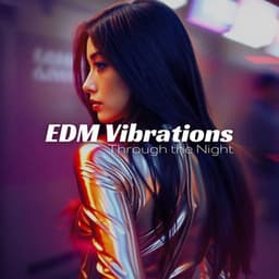 EDM Vibrations Through the Night - Dance Hits 2015
