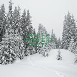 Winter Whisper Waltz - The Christmas Guys