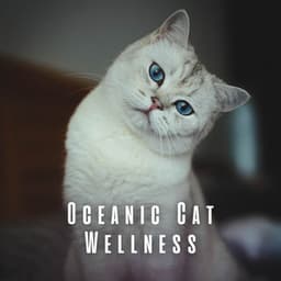 Oceanic Cat Wellness: Tranquility with Binaural Theta Waves - Feel The Nature