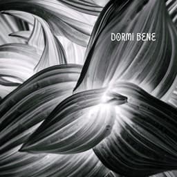 Dormi bene - Musica rilassante per aiutarti a dormire e sbarazzarti delle notti insonni - Calmo Maestro del Sogno