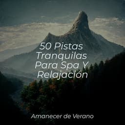 50 Pistas Tranquilas Para Spa Y Relajación - Música relaxante
