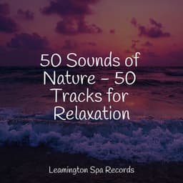50 Sounds of Nature - 50 Tracks for Relaxation - Sleep Meditation Dream Catcher