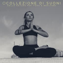 Collezione di Suoni della Natura per Yoga e Meditare - Rilassante musica profonda