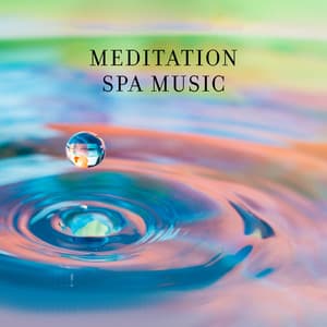 Meditation Spa Music: Stress Free Mind and Balanced Soul - Serenity Stream