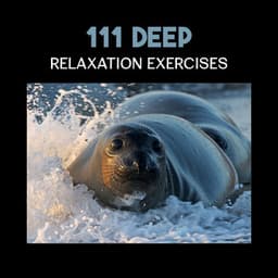 111 Deep Relaxation Exercises – Calming Tracks for Deep Sleep, Rest & Regeneration, Healing Sounds of Water - Peaceful Sounds Zone