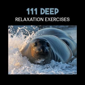 111 Deep Relaxation Exercises – Calming Tracks for Deep Sleep, Rest & Regeneration, Healing Sounds of Water - Peaceful Sounds Zone