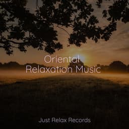 Oriental Relaxation Music - Música relaxante